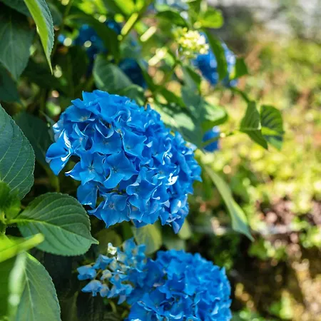 Appartement S'raubers