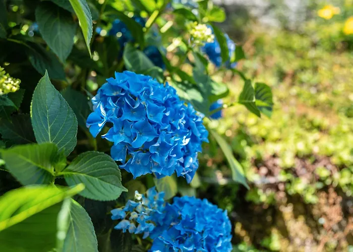 Appartement S'raubers